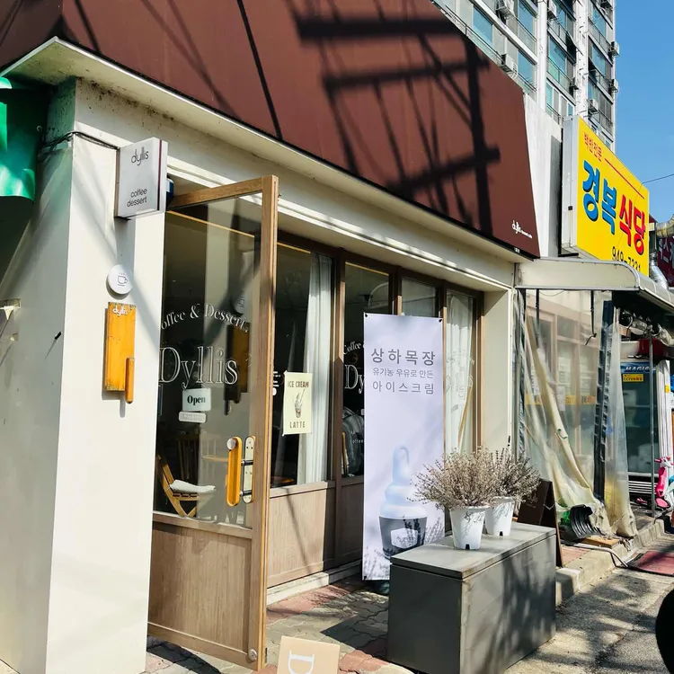딜리스 대표 사진