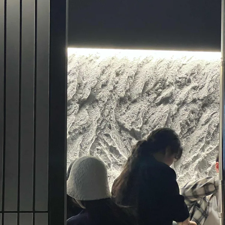 돈순장 대표 사진