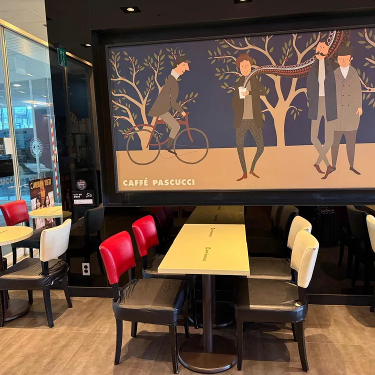 파스쿠찌 대표 사진