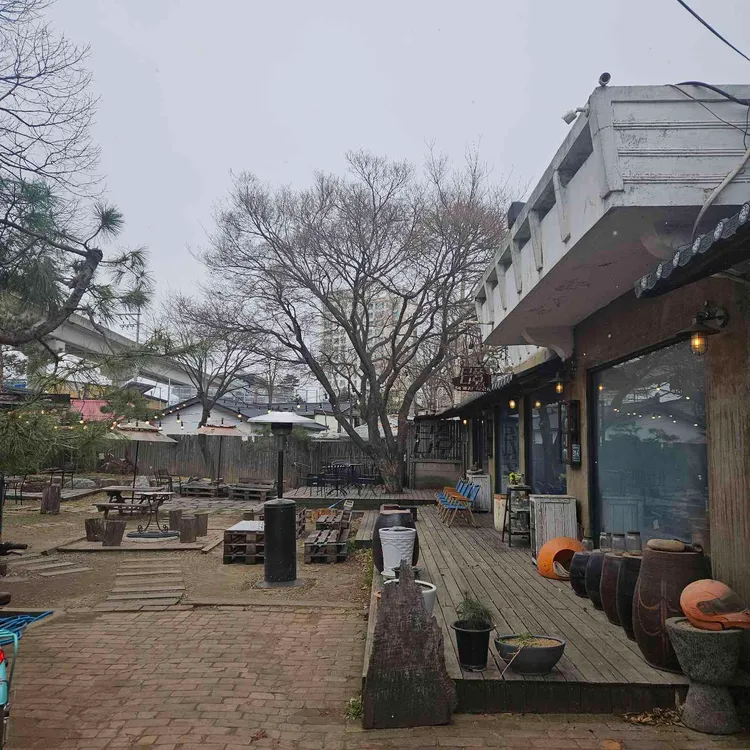 단풍나무 대표 사진