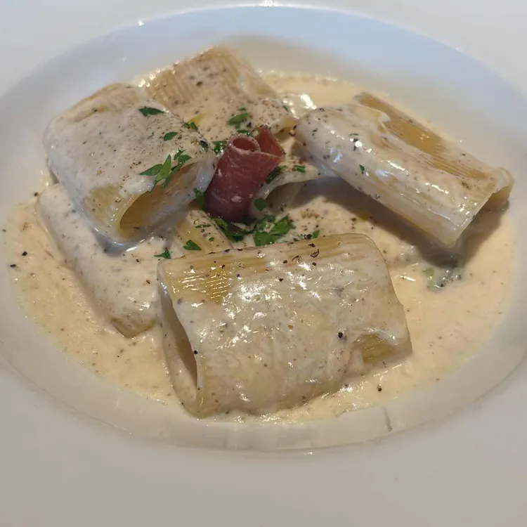 라디치 대표 사진