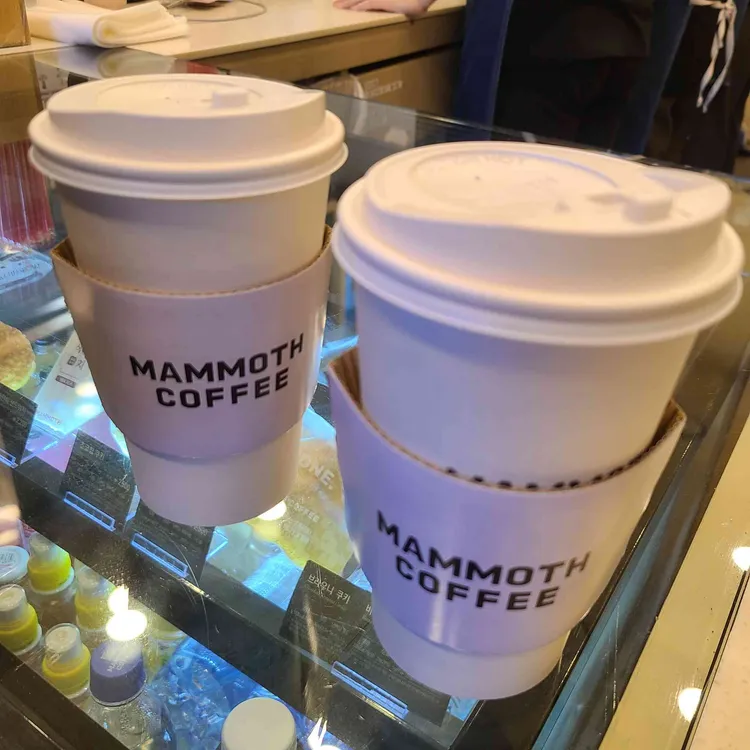 매머드익스프레스 대표 사진