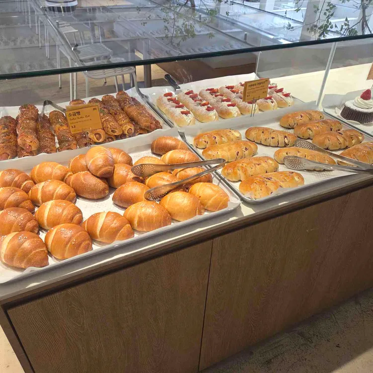 마고플레인 사진