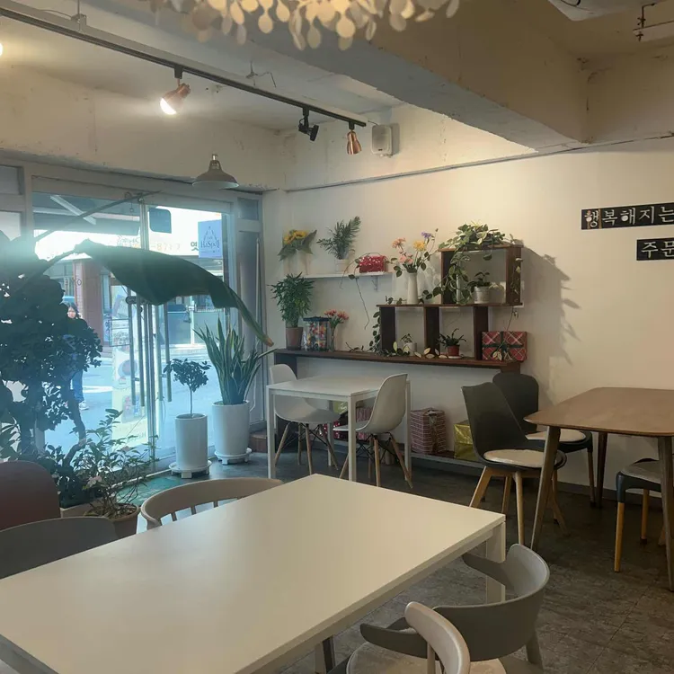하스펠 대표 사진