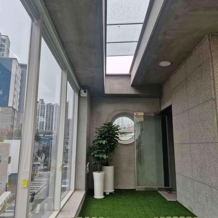 로야 대표 사진