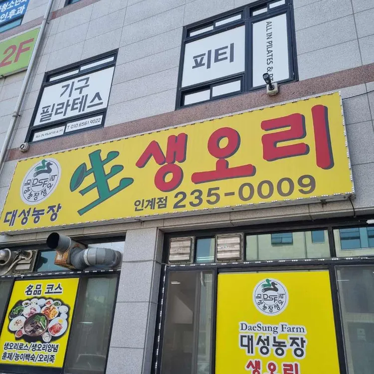 대성농장생오리 사진 2