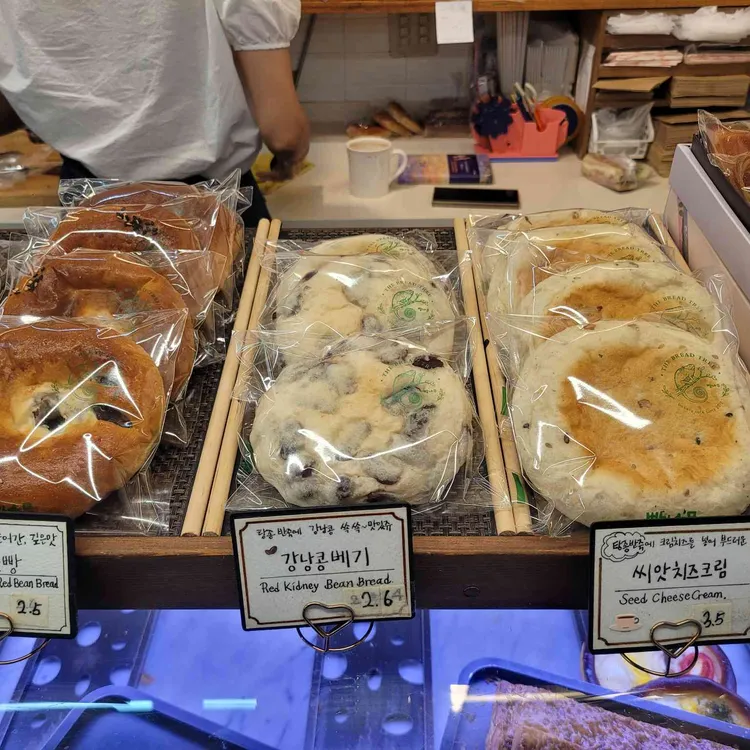빵나무 대표 사진