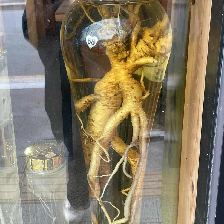 능이와백숙 대표 사진