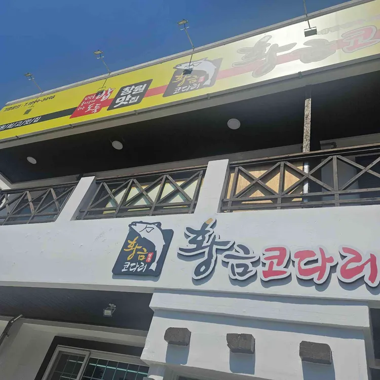 황금코다리 대표 사진