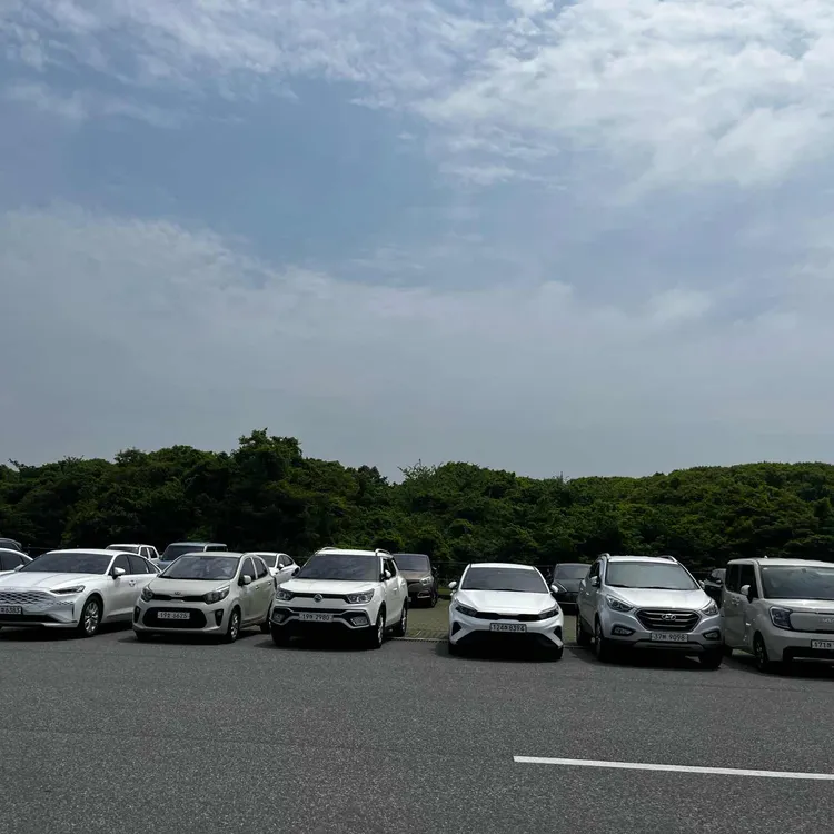 오설록 티 뮤지엄 대표 사진
