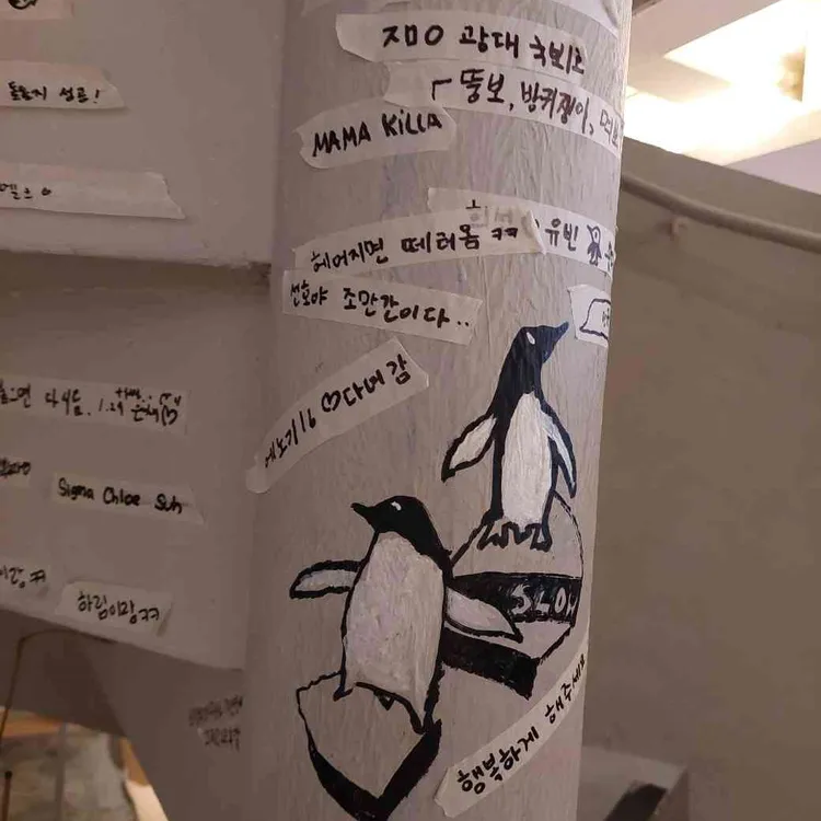 그레이펭귄컴퍼니 대표 사진