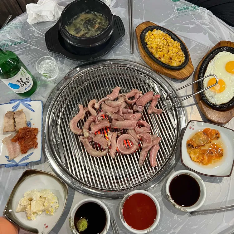 살아있네 꼼 사진 2
