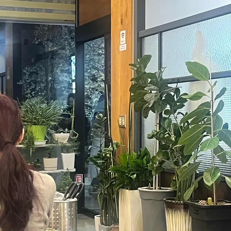 봄날에 대표 사진
