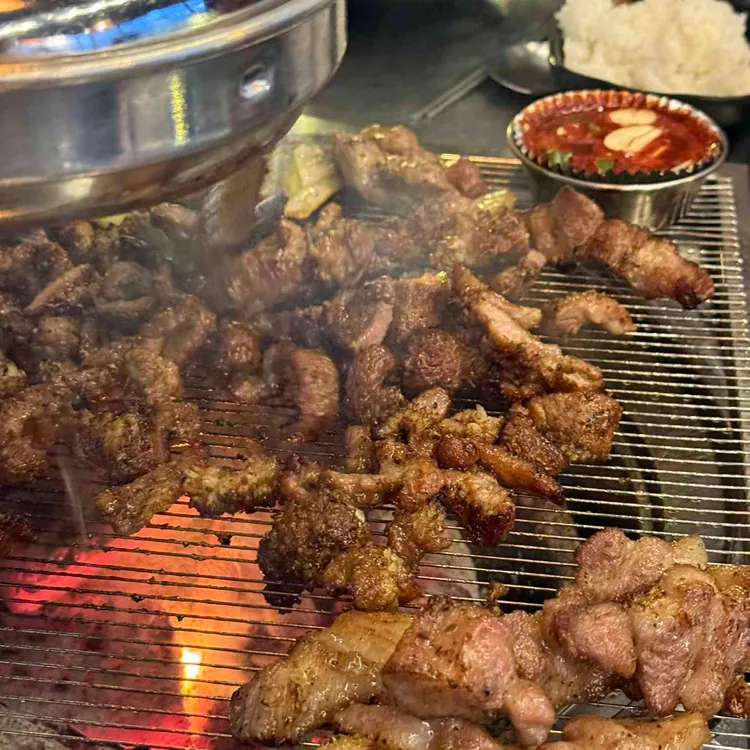 도야지 사진 2
