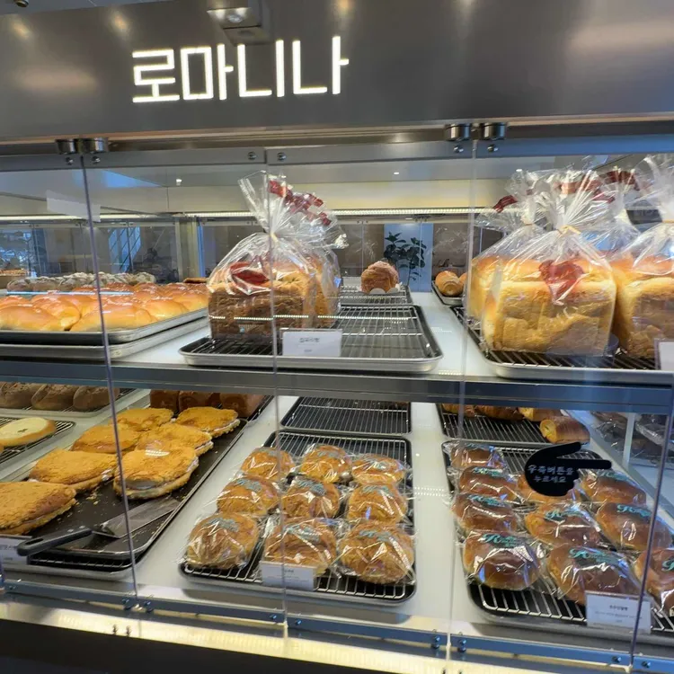 로마니나 대표 사진