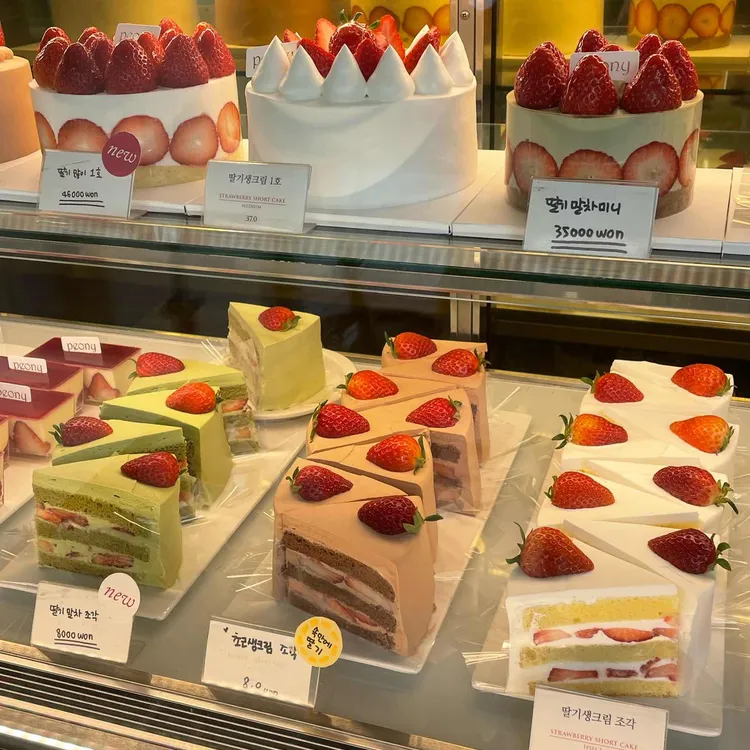 피오니 대표 사진