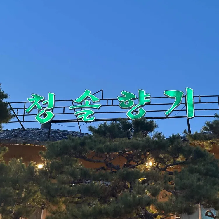 청솔향기 대표 사진