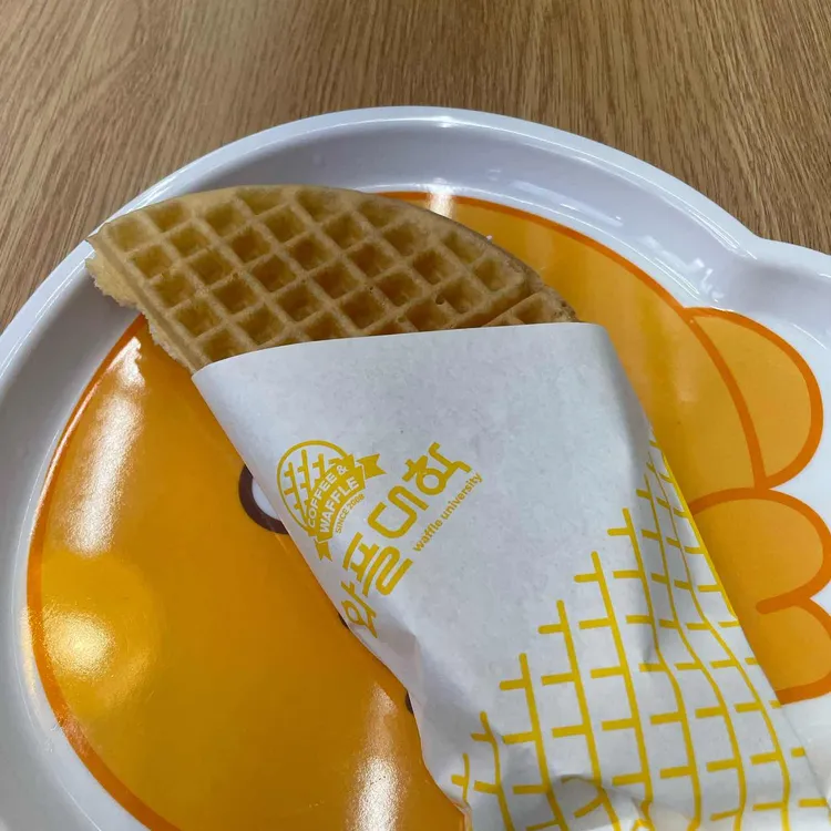와플대학 대표 사진