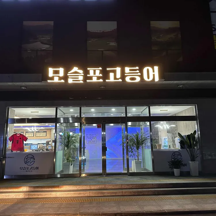 모슬포고등어 사진 1