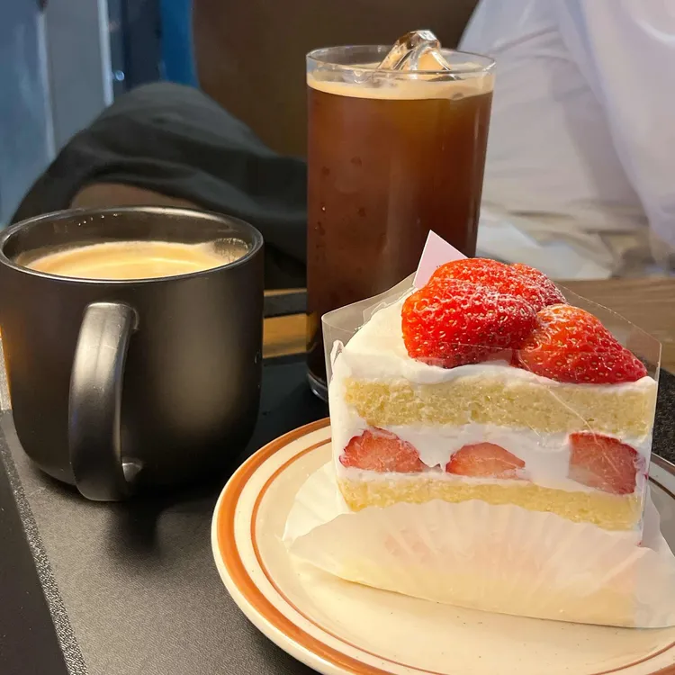 제주동백 대표 사진