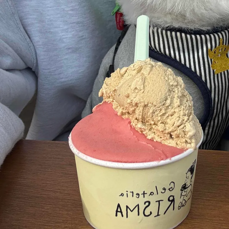 리스마 대표 사진