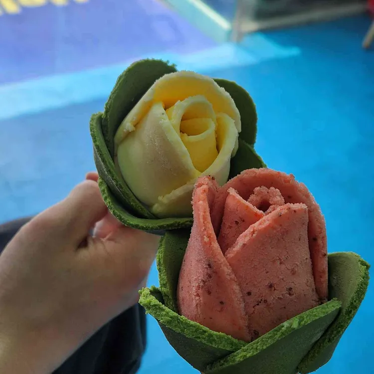 꽃봉자 대표 사진