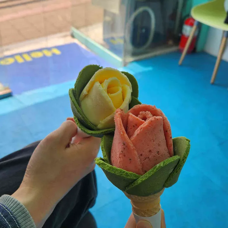 꽃봉자 대표 사진