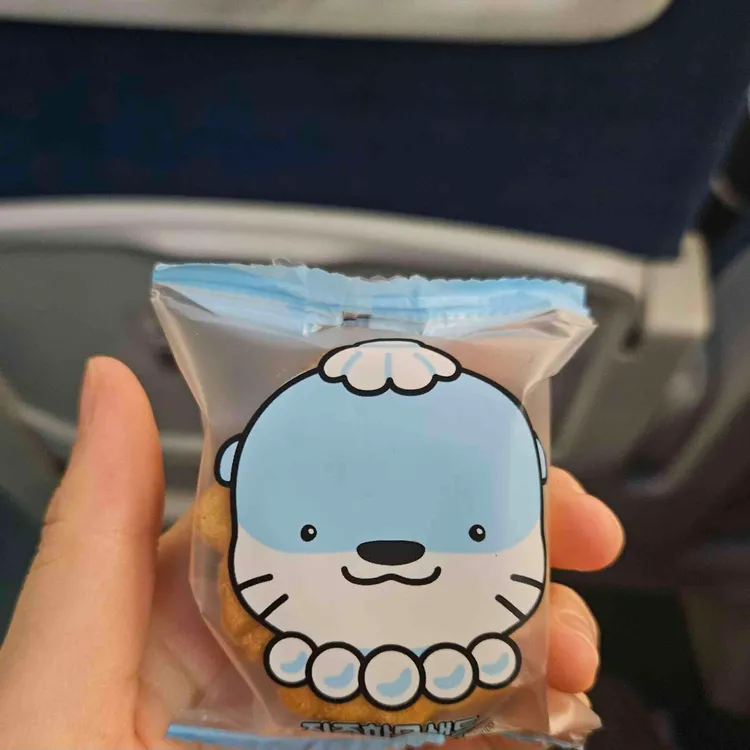 진주샌드 대표 사진