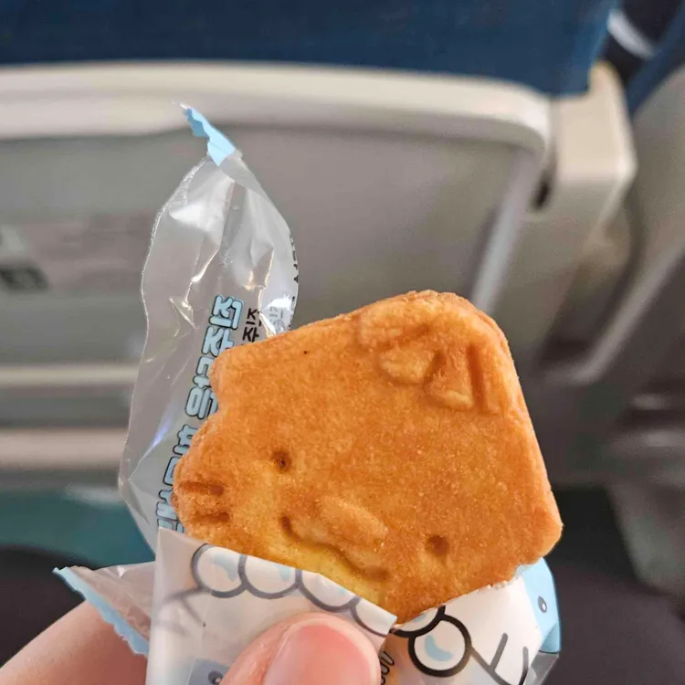 진주샌드 대표 사진
