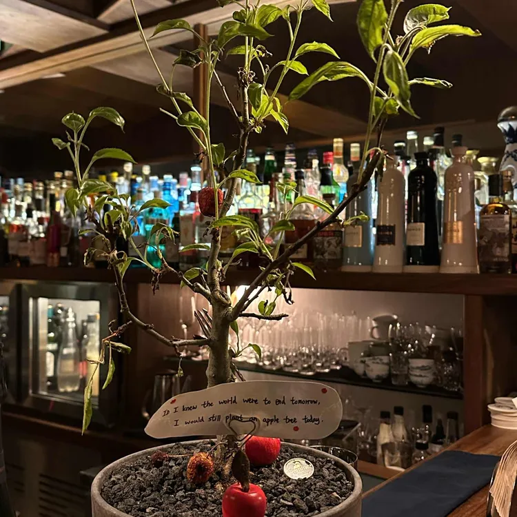Pomme 대표 사진