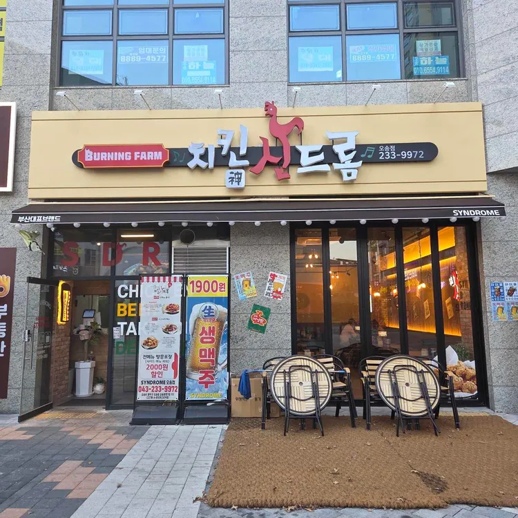 치킨신드롬 대표 사진