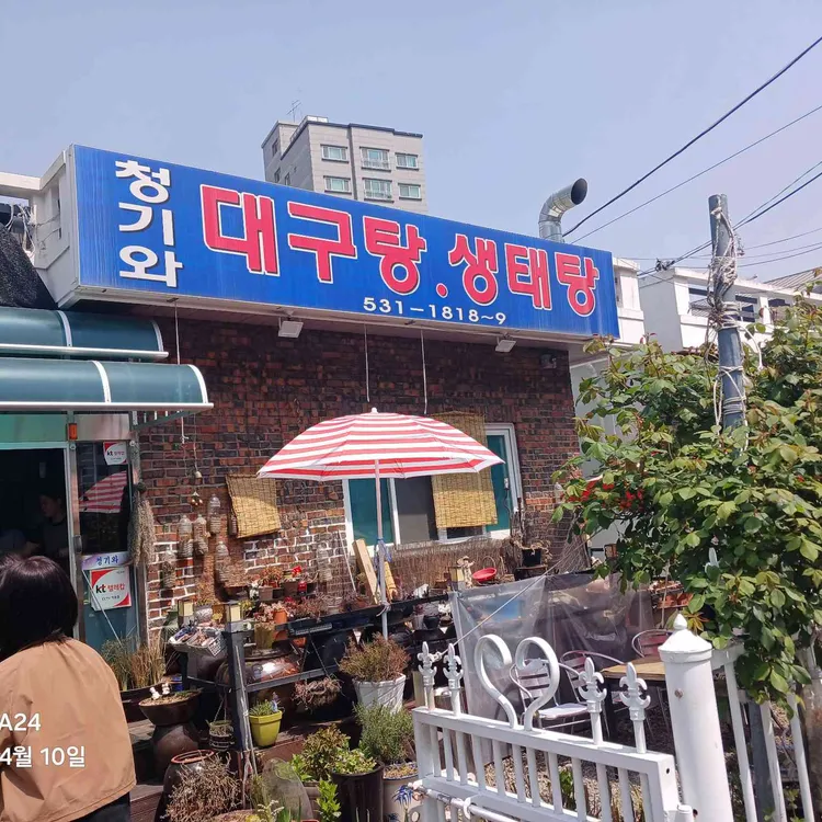 청기와생명태 대표 사진