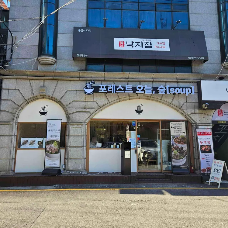 포레스트 오늘 숲 대표 사진