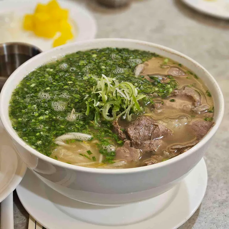 포레스트 오늘 숲 대표 사진