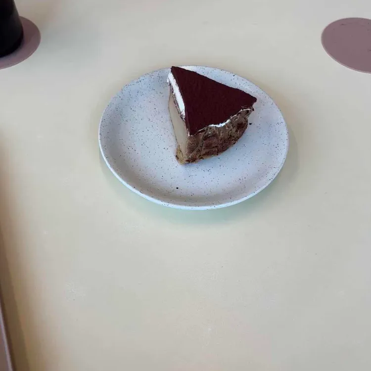 파티드 대표 사진