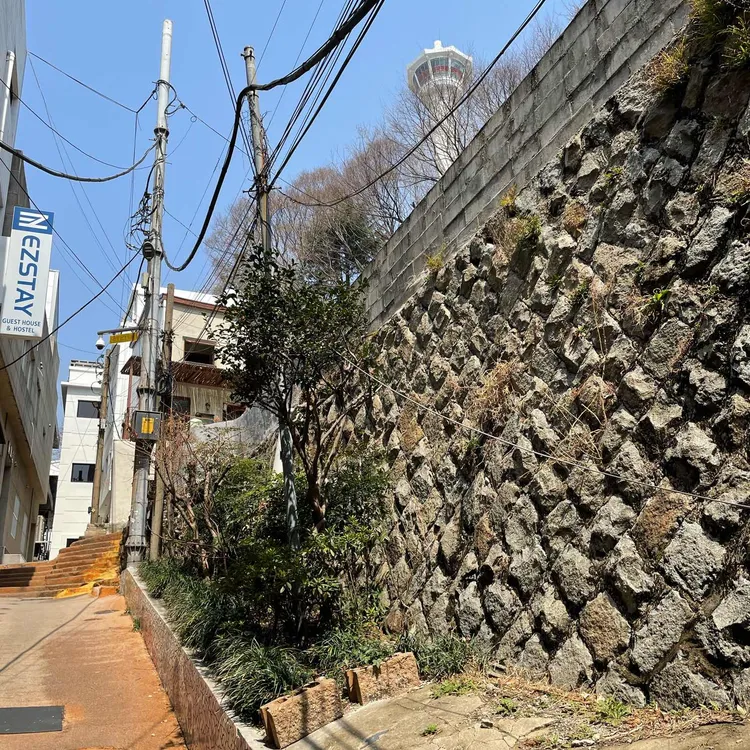 마담, 마담 대표 사진