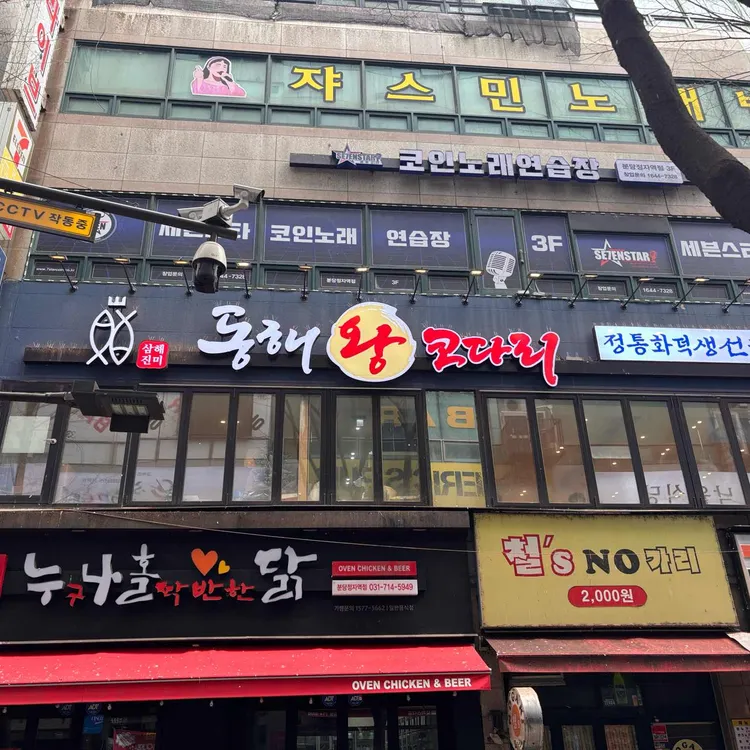 동해왕코다리 사진 2