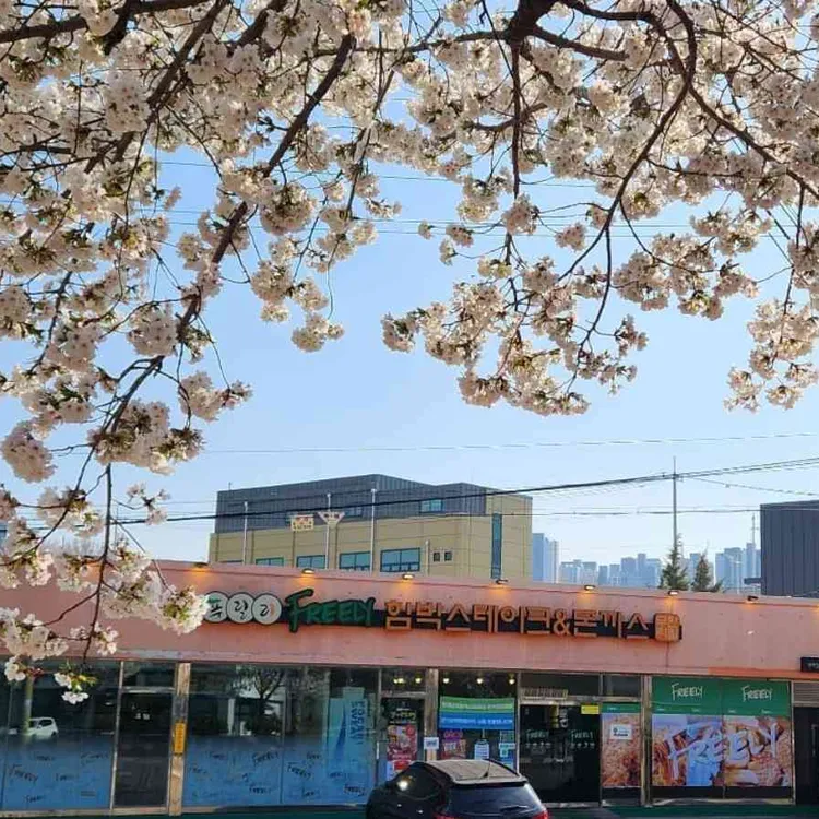 푸릴리 사진 1