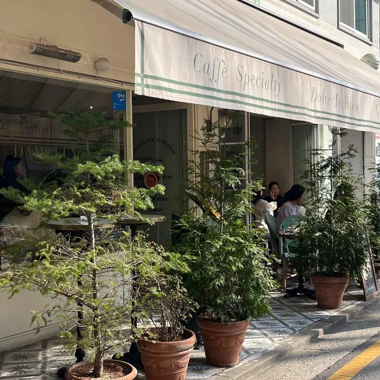 담금 사진