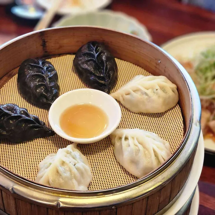 락희안 사진