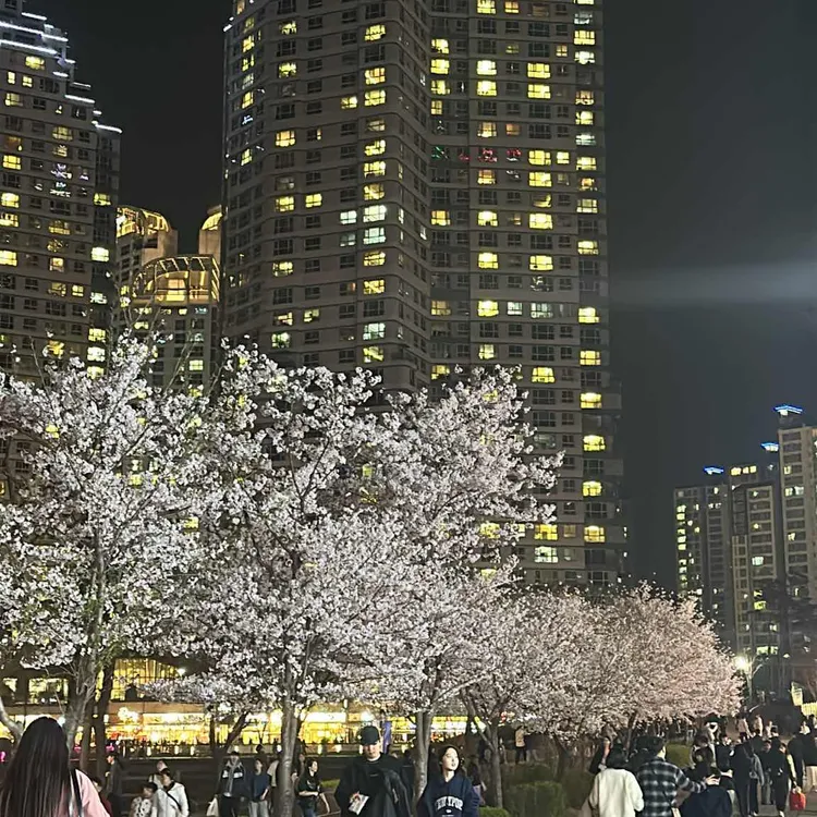 허니치킨 대표 사진