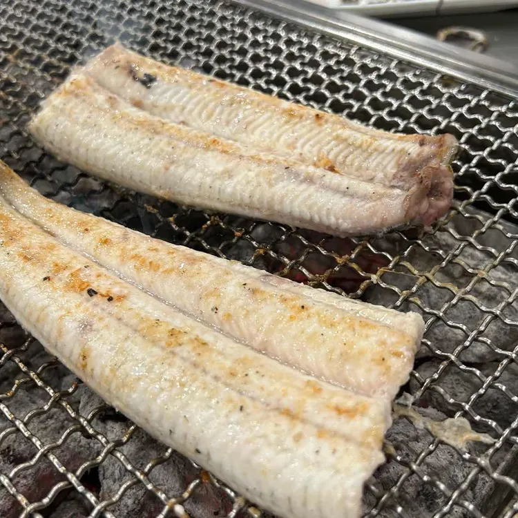 장어의꿈 대표 사진