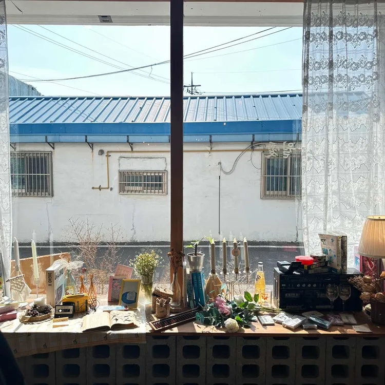 춘삼월애 대표 사진