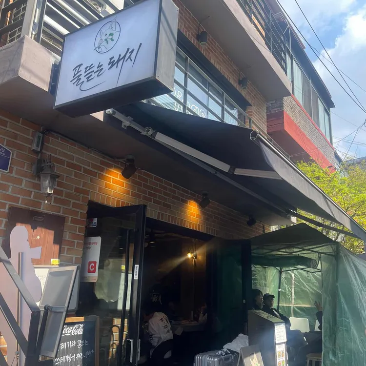 풀뜯는돼지 대표 사진