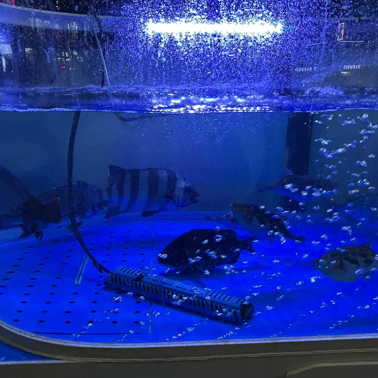 재우해양수산 대표 사진