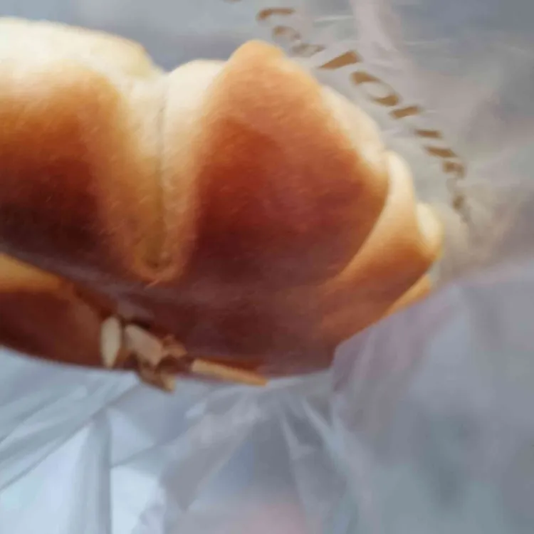 뚜레쥬르 대표 사진