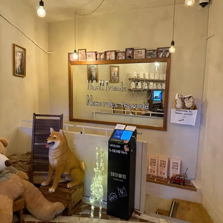 네모네 대표 사진