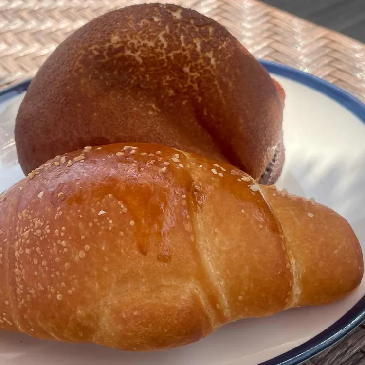 수피아 대표 사진