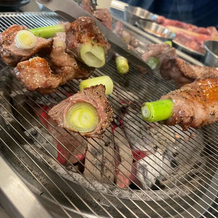 탄천갈매기 사진 1