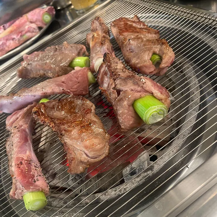 탄천갈매기 사진 2